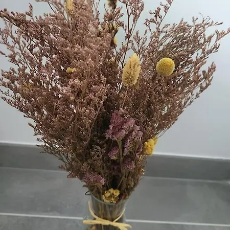 Villa New 5mn From The Beach-pyrenees View Sainte-Marie-la-Mer